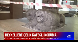 Heykellere çelik kafesli koruma