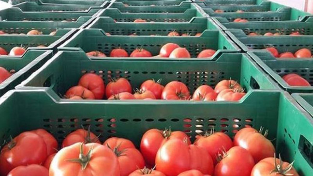 Tarım ve Orman Bakanlığı, domates ihracatının kısıtlanmasına yönelik kararı kaldırdı