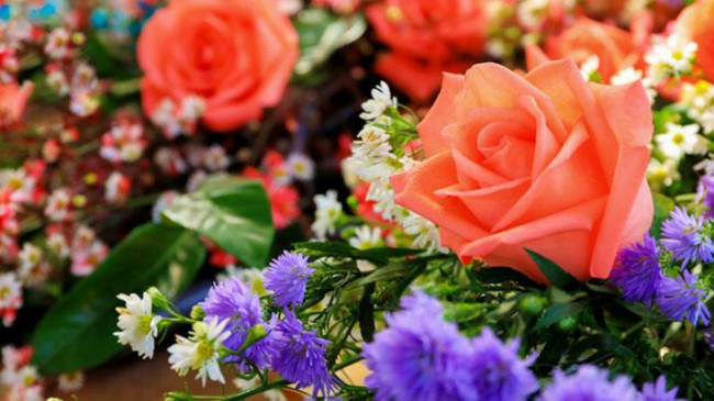 Çiçek İsimleri: A’dan Z’ye En Güzel Çiçek Çeşitleri ve İsimleri Nelerdir?