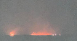 Gala Gölü Milli Parkı’nda yangın: Ekipler müdahale etti, söndürüldü