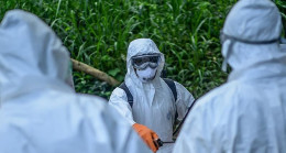 Ebola’nın akraba türü Marburg virüsü can aldı! Aşısı ya da tedavisi yok, ölüm oranı yüzde 90’a kadar çıkıyor!