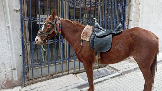 Konya’da alkollü olarak atıyla caddede dolaşan kişiye 10 bin 111 lira ceza