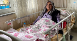 Pitbull cinsi köpeğin saldırısına uğrayan kadının bacağı kesildi – Son Dakika Türkiye Haberleri