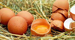 Yumurta yemek kilo aldırır mı verir mi?