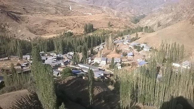 Hayvanlarını beslemek için ahıra giden kadın dehşeti yaşadı 🐄 Kurt birden saldırıp çenesini ısırdı 🐺