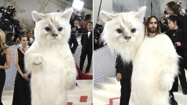 2023 MET Gala’ya yıldız yağmuru! Ünlü kedi Choupette de unutulmadı