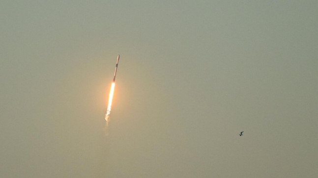 SpaceX, 56 Starlink uydusunu daha yörüngeye gönderdi