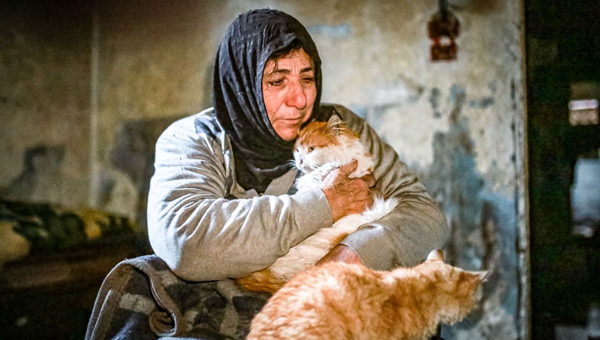 İdlib'de savaş mağduru kadın kedilerinden vazgeçmiyor