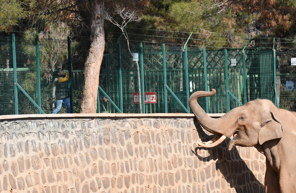 Gaziantep Hayvanat Bahçesi'nin hedefi 6 milyon ziyaretçi - 2