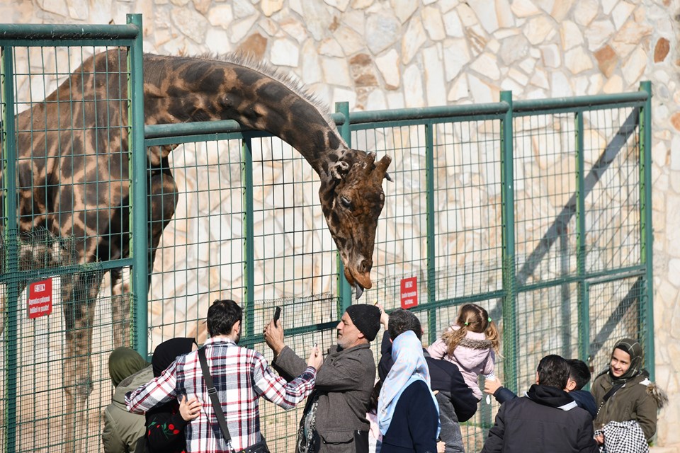 Gaziantep Hayvanat Bahçesi'nin hedefi 6 milyon ziyaretçi - 1